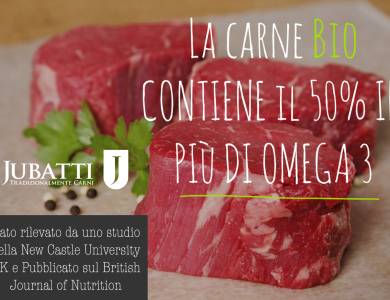 3filet copia.jpg 3filet copia.jpg