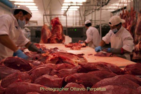 [arte] Progetto artistico-fotografico: 