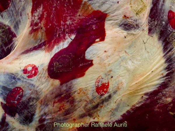 [arte] Progetto artistico-fotografico: 